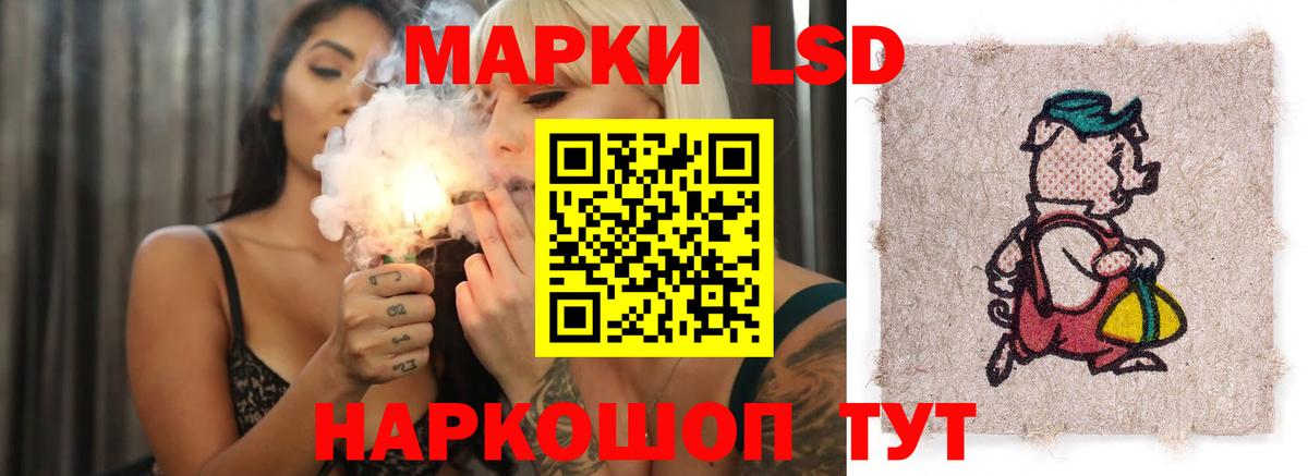 блэк спрут зеркало  Вход с VPN  Королёв  ЛСД экстази ecstasy  LSD-25 экстази ecstasy 