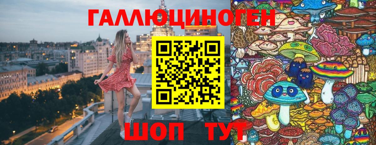 Псилоцибиновые грибы Cubensis  Вход с VPN  Королёв 