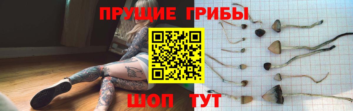Псилоцибиновые грибы мицелий Королёв